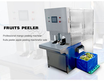 Porcellana sistema automatico completo di lavaggio della sbucciatura della macchina utensile della frutta 220V e della verdura fornitore